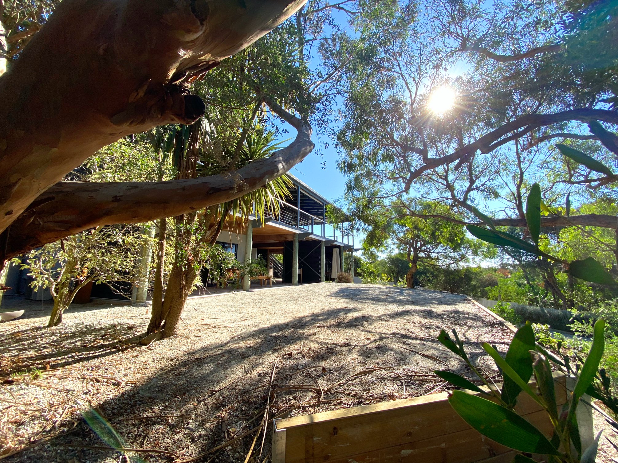 Modern house among native trees and natural landscape